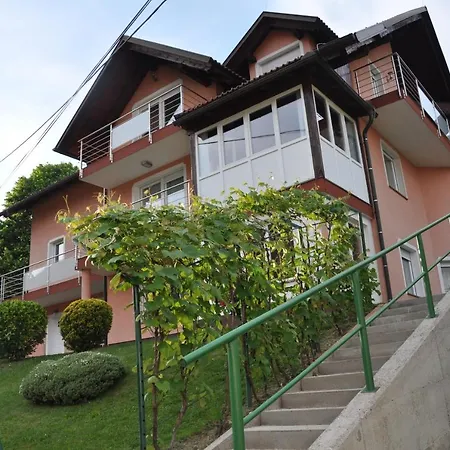 Guest house Rezidenca Ervin